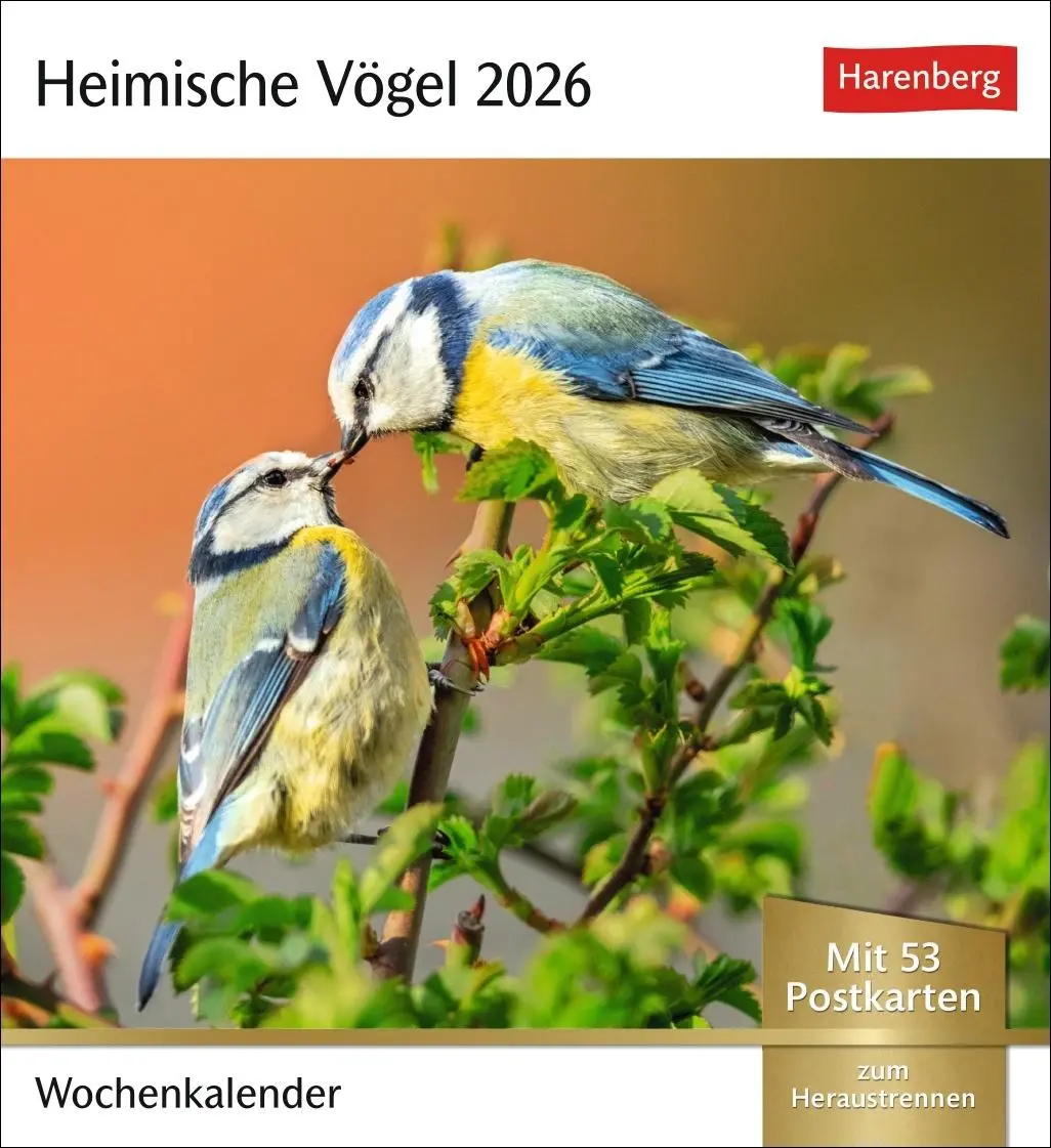 Cover: 9783840036446 | Heimische Vögel Postkartenkalender 2026 - Wochenkalender mit 53...