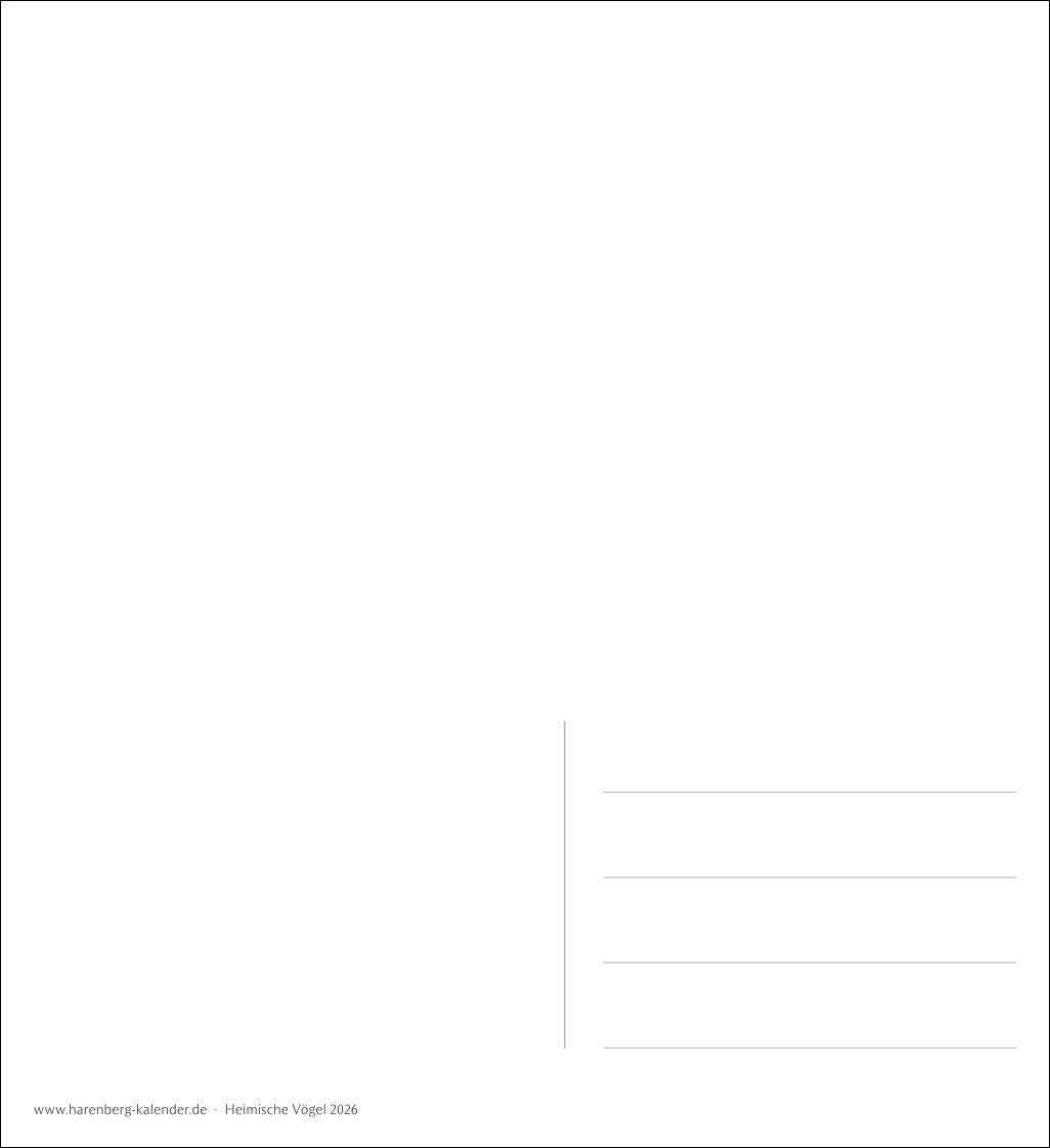 Bild: 9783840036446 | Heimische Vögel Postkartenkalender 2026 - Wochenkalender mit 53...
