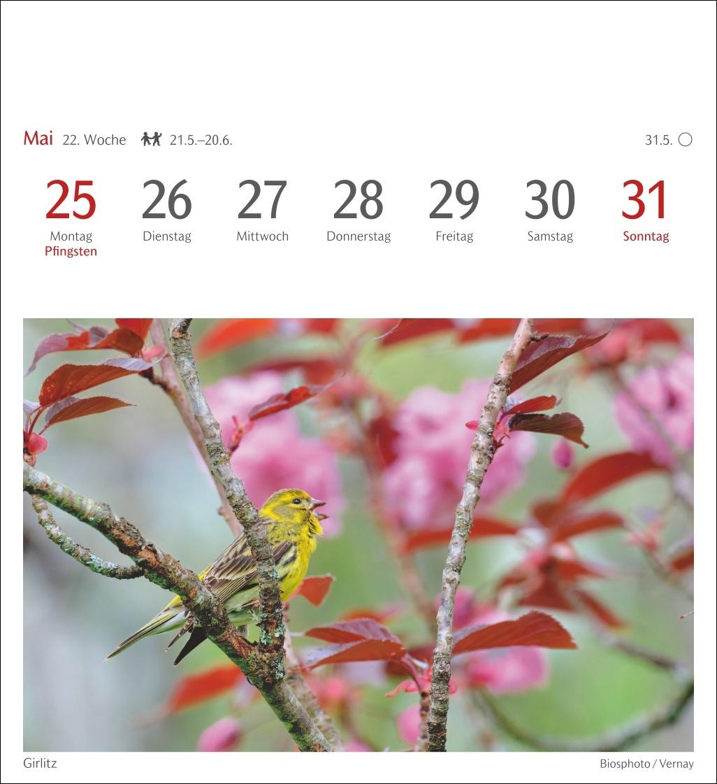 Bild: 9783840036446 | Heimische Vögel Postkartenkalender 2026 - Wochenkalender mit 53...