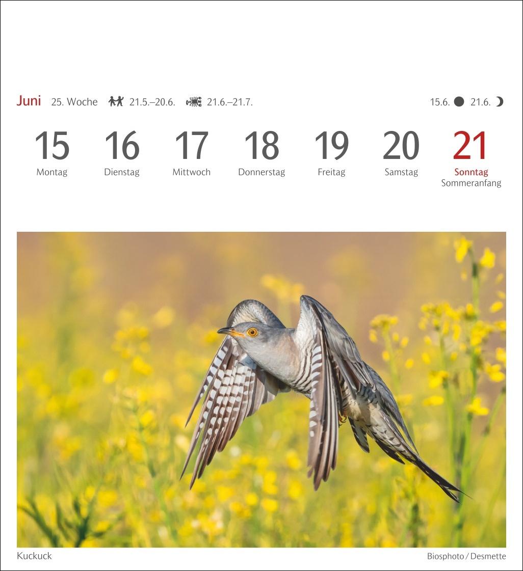 Bild: 9783840036446 | Heimische Vögel Postkartenkalender 2026 - Wochenkalender mit 53...