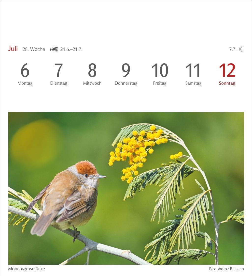 Bild: 9783840036446 | Heimische Vögel Postkartenkalender 2026 - Wochenkalender mit 53...