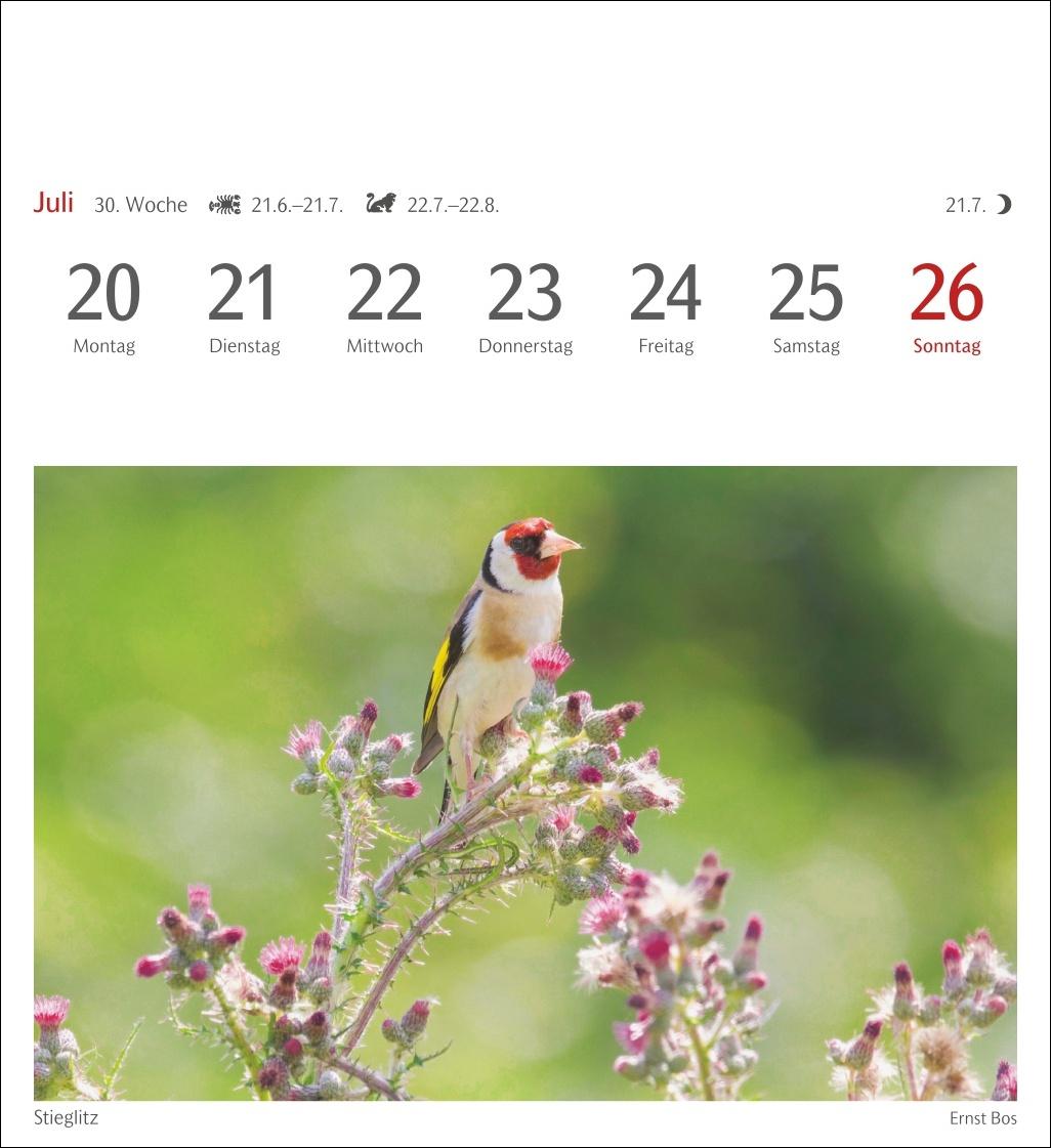 Bild: 9783840036446 | Heimische Vögel Postkartenkalender 2026 - Wochenkalender mit 53...