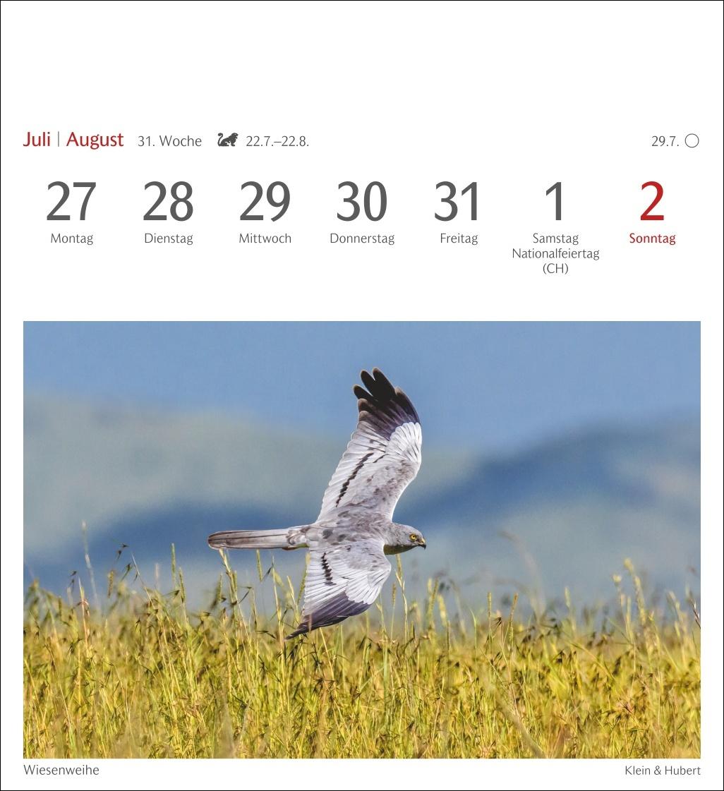 Bild: 9783840036446 | Heimische Vögel Postkartenkalender 2026 - Wochenkalender mit 53...