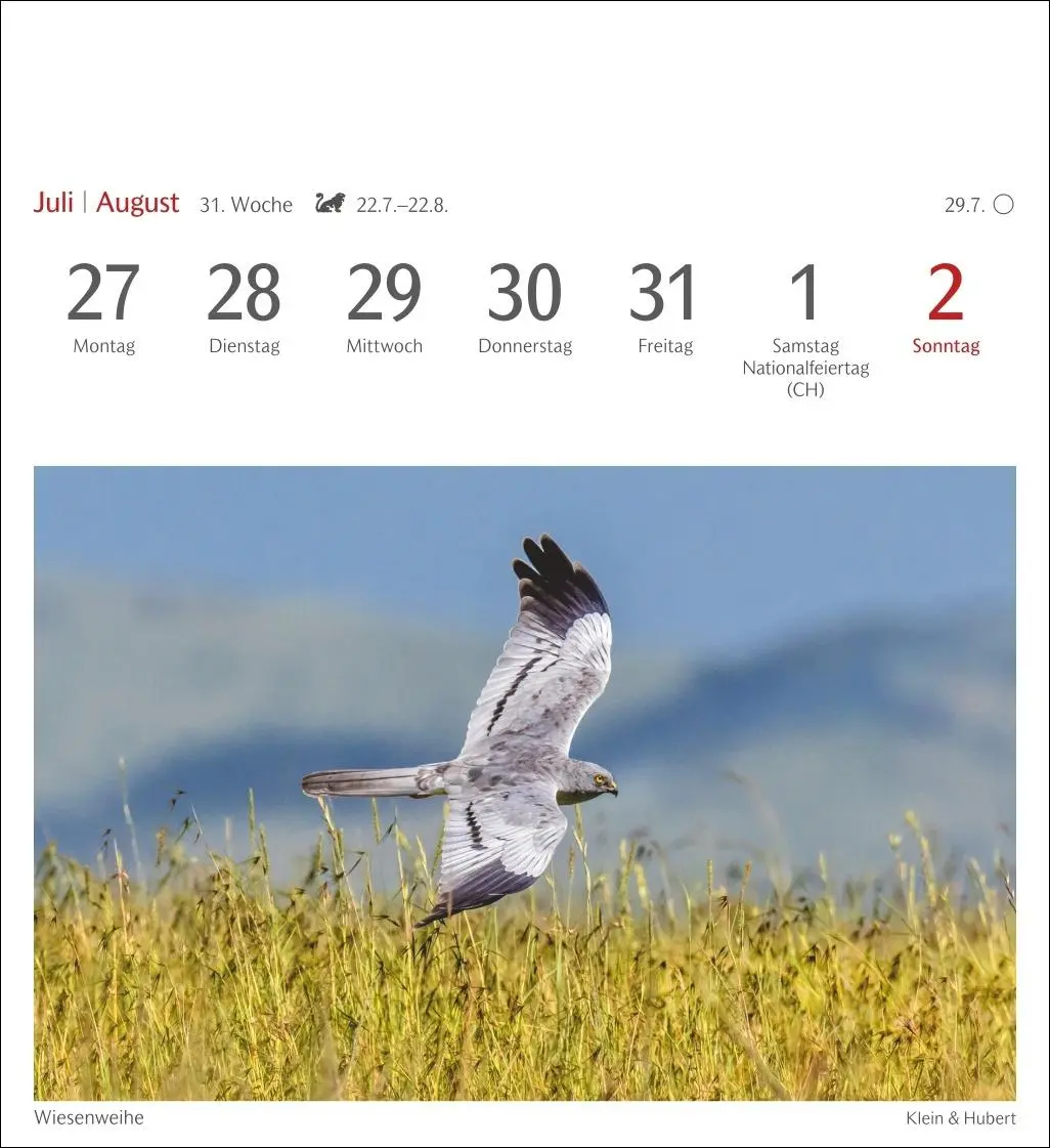 Bild: 9783840036446 | Heimische Vögel Postkartenkalender 2026 - Wochenkalender mit 53...