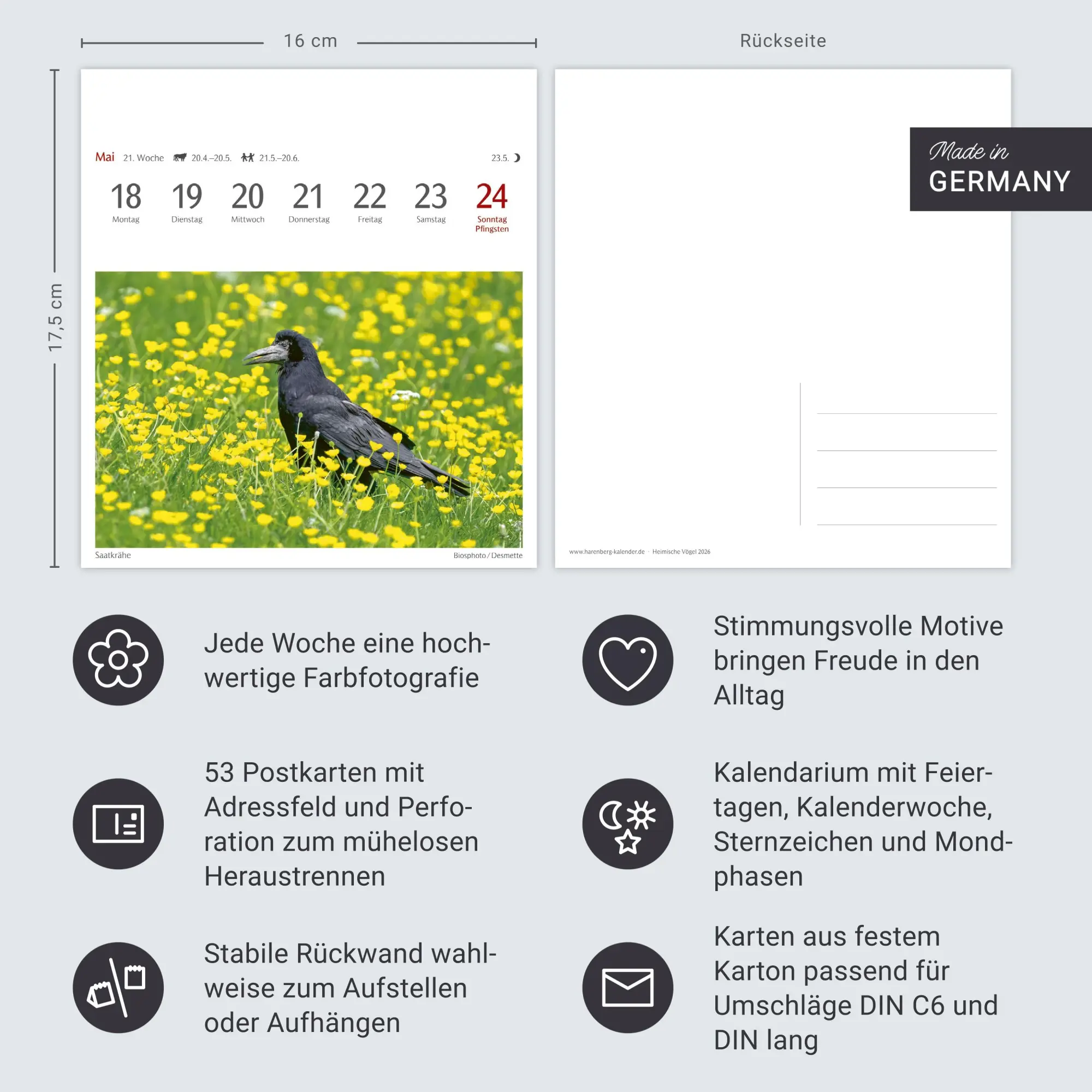 Bild: 9783840036446 | Heimische Vögel Postkartenkalender 2026 - Wochenkalender mit 53...
