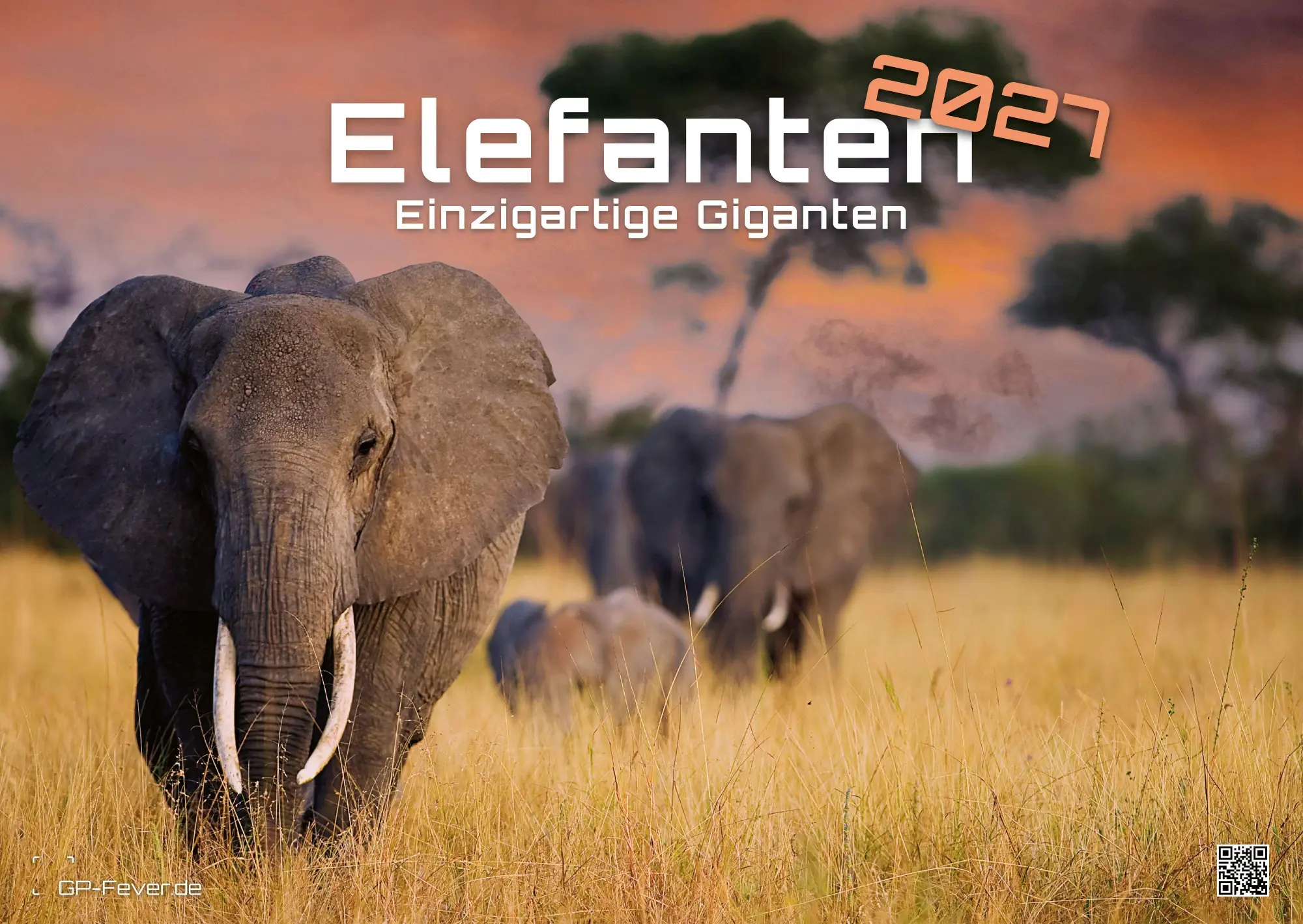 Cover: 9783986736446 | Elefanten - einzigartige Giganten - 2027 - Kalender DIN A2 | de | 2027