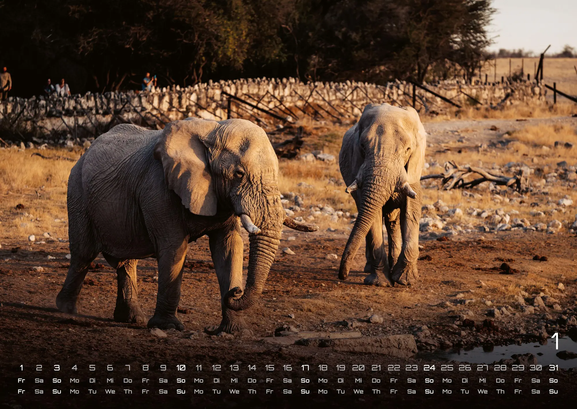 Bild: 9783986736446 | Elefanten - einzigartige Giganten - 2027 - Kalender DIN A2 | de | 2027