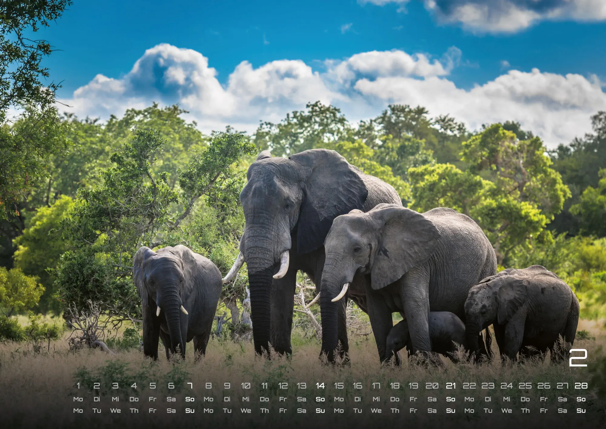 Bild: 9783986736446 | Elefanten - einzigartige Giganten - 2027 - Kalender DIN A2 | de | 2027