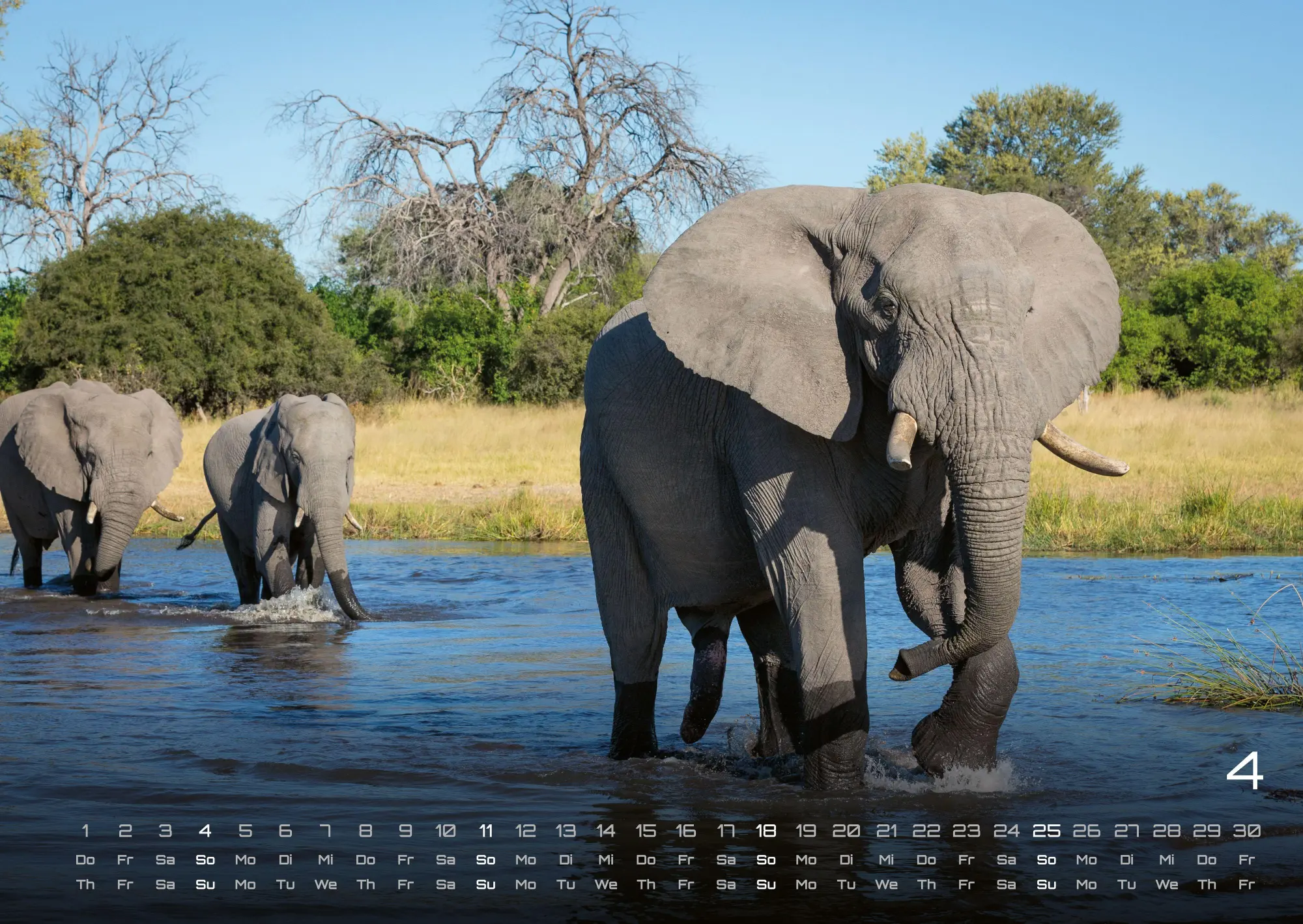 Bild: 9783986736446 | Elefanten - einzigartige Giganten - 2027 - Kalender DIN A2 | de | 2027