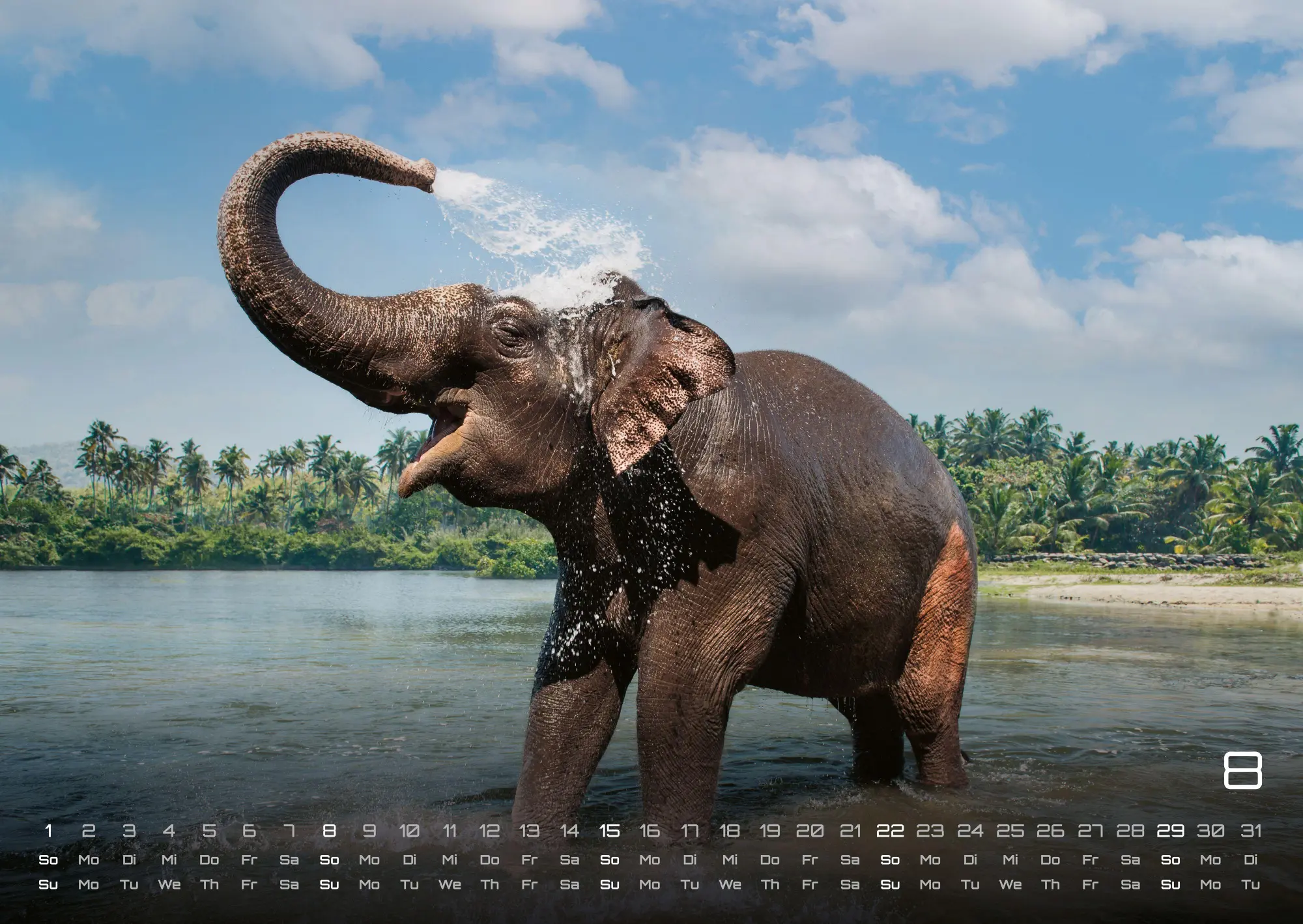 Bild: 9783986736446 | Elefanten - einzigartige Giganten - 2027 - Kalender DIN A2 | de | 2027