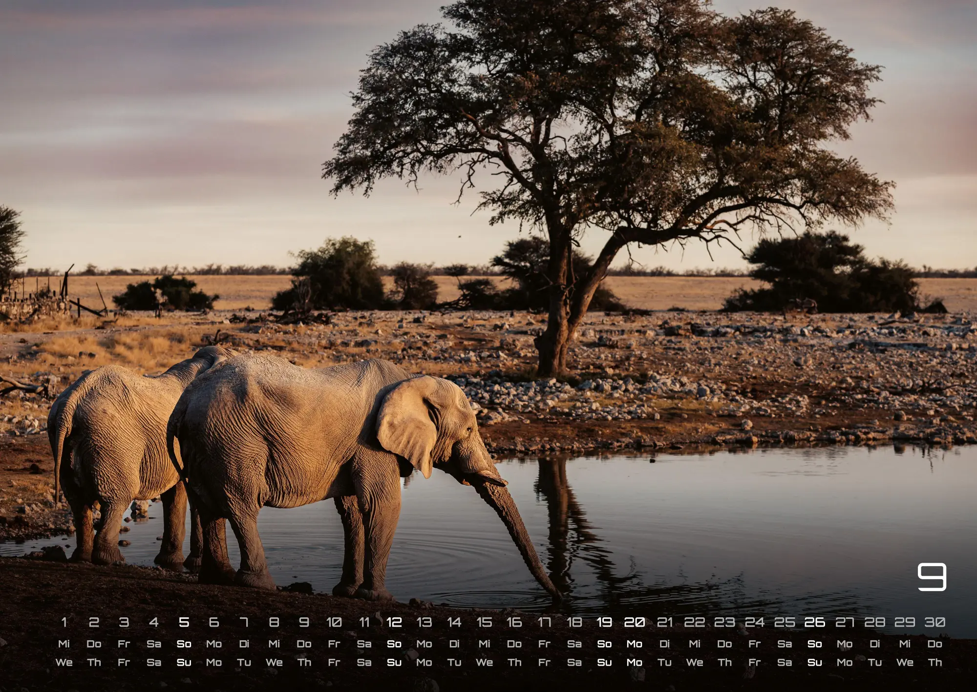 Bild: 9783986736446 | Elefanten - einzigartige Giganten - 2027 - Kalender DIN A2 | de | 2027