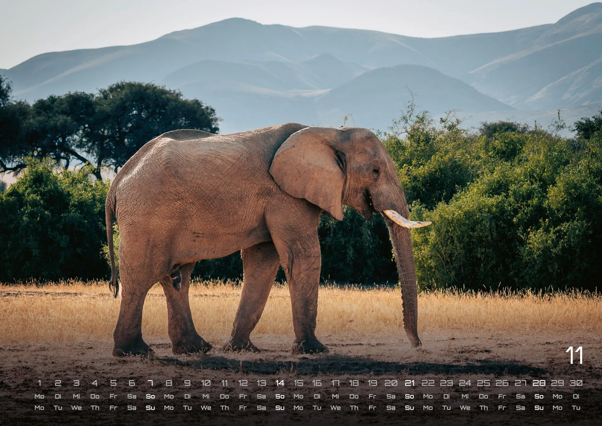 Bild: 9783986736446 | Elefanten - einzigartige Giganten - 2027 - Kalender DIN A2 | de | 2027