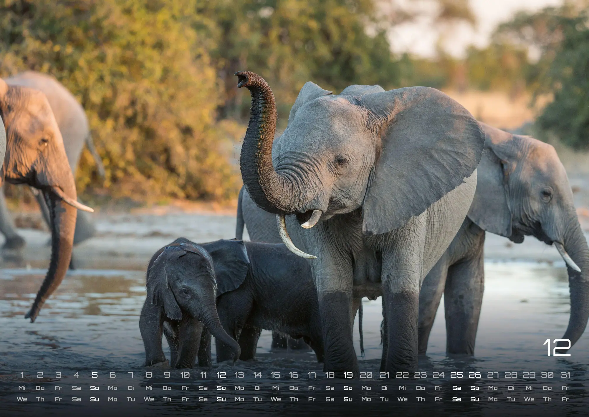 Bild: 9783986736446 | Elefanten - einzigartige Giganten - 2027 - Kalender DIN A2 | de | 2027