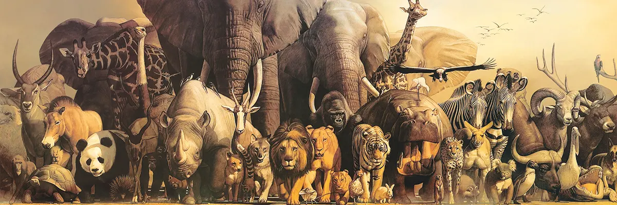 Bild: 628136546546 | Tiere der Arche Noah (Puzzle) | Spiel | In Spielebox | 6010-4654