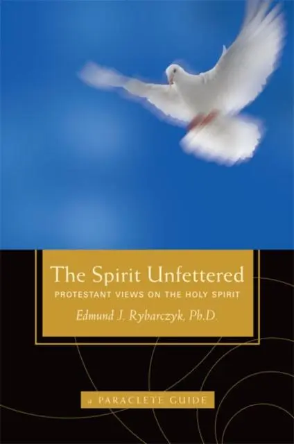 Cover: 9781557256546 | The Spirit Unfettered | Protestant Views on the Holy Spirit | Buch