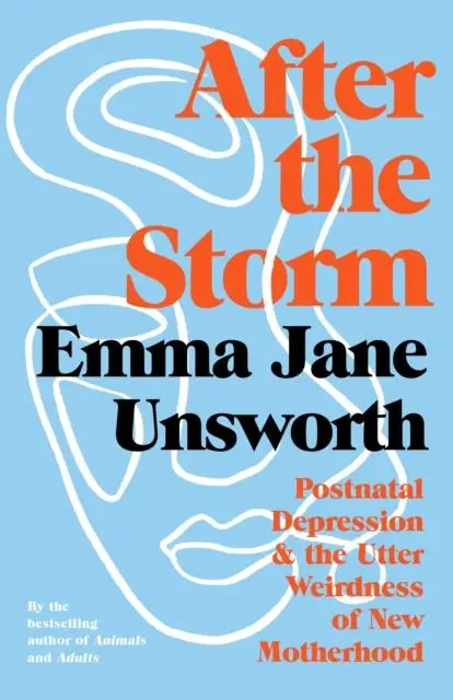 Cover: 9781788166546 | After the Storm | Emma Jane Unsworth | Buch | Gebunden | Englisch