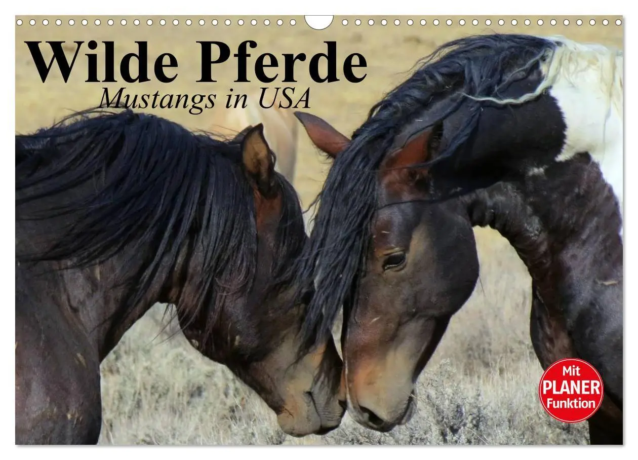 Cover: 9783457996546 | Wilde Pferde. Mustangs in USA (Wandkalender 2026 DIN A3 quer),...