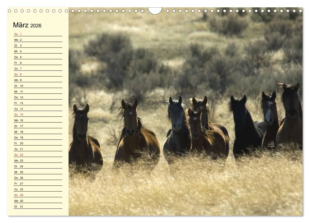 Bild: 9783457996546 | Wilde Pferde. Mustangs in USA (Wandkalender 2026 DIN A3 quer),...