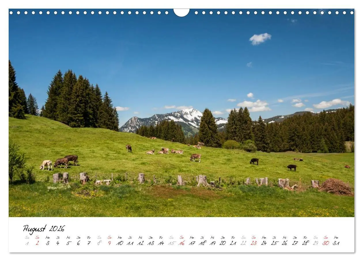 Bild: 9783516076646 | Oberallgäuer Landschaft (Wandkalender 2026 DIN A3 quer), CALVENDO...