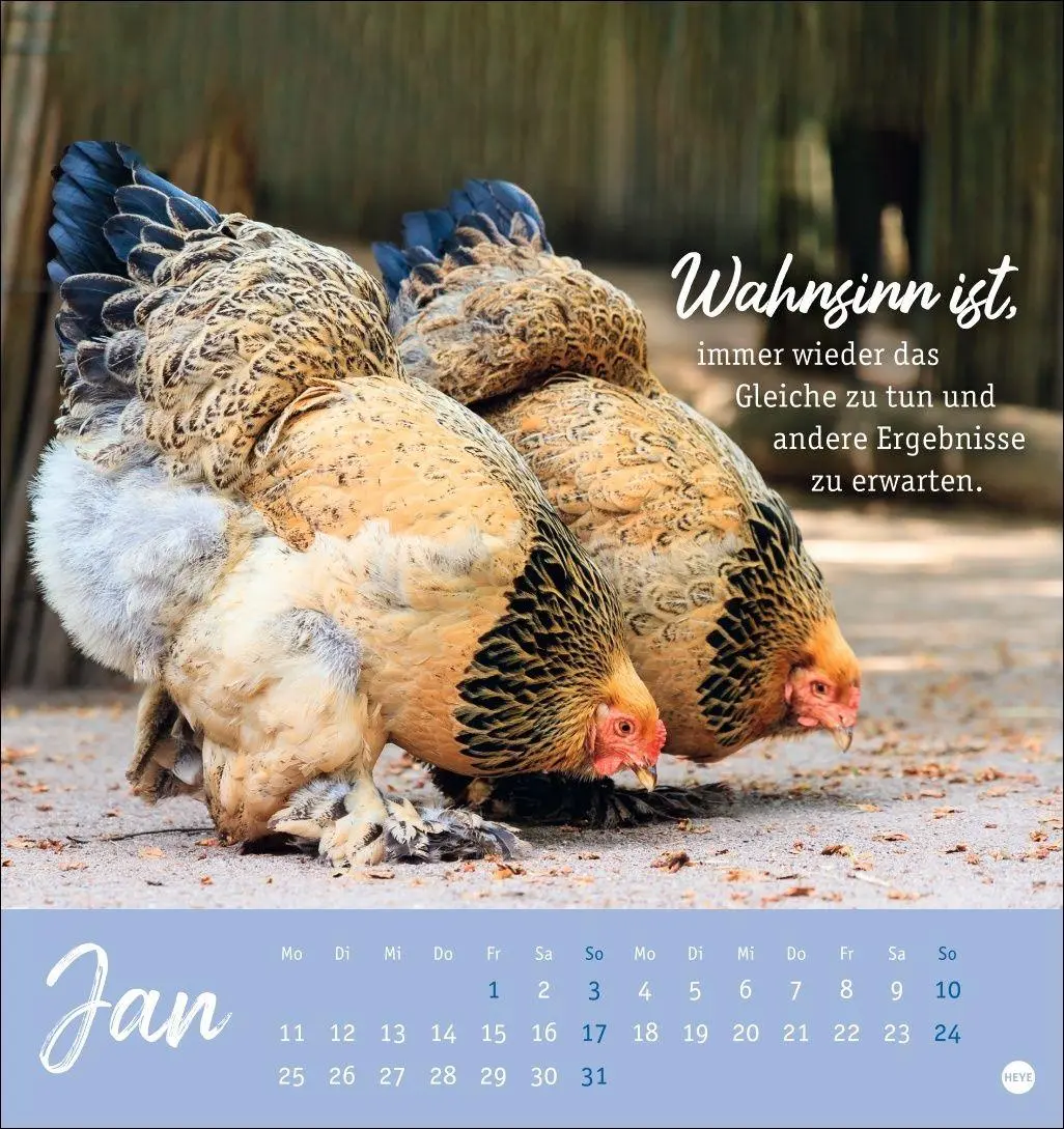 Bild: 9783756416646 | Hühner Postkartenkalender 2027 - Ach, du verrücktes Huhn! | Kalender