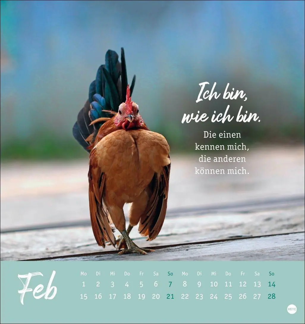 Bild: 9783756416646 | Hühner Postkartenkalender 2027 - Ach, du verrücktes Huhn! | Kalender