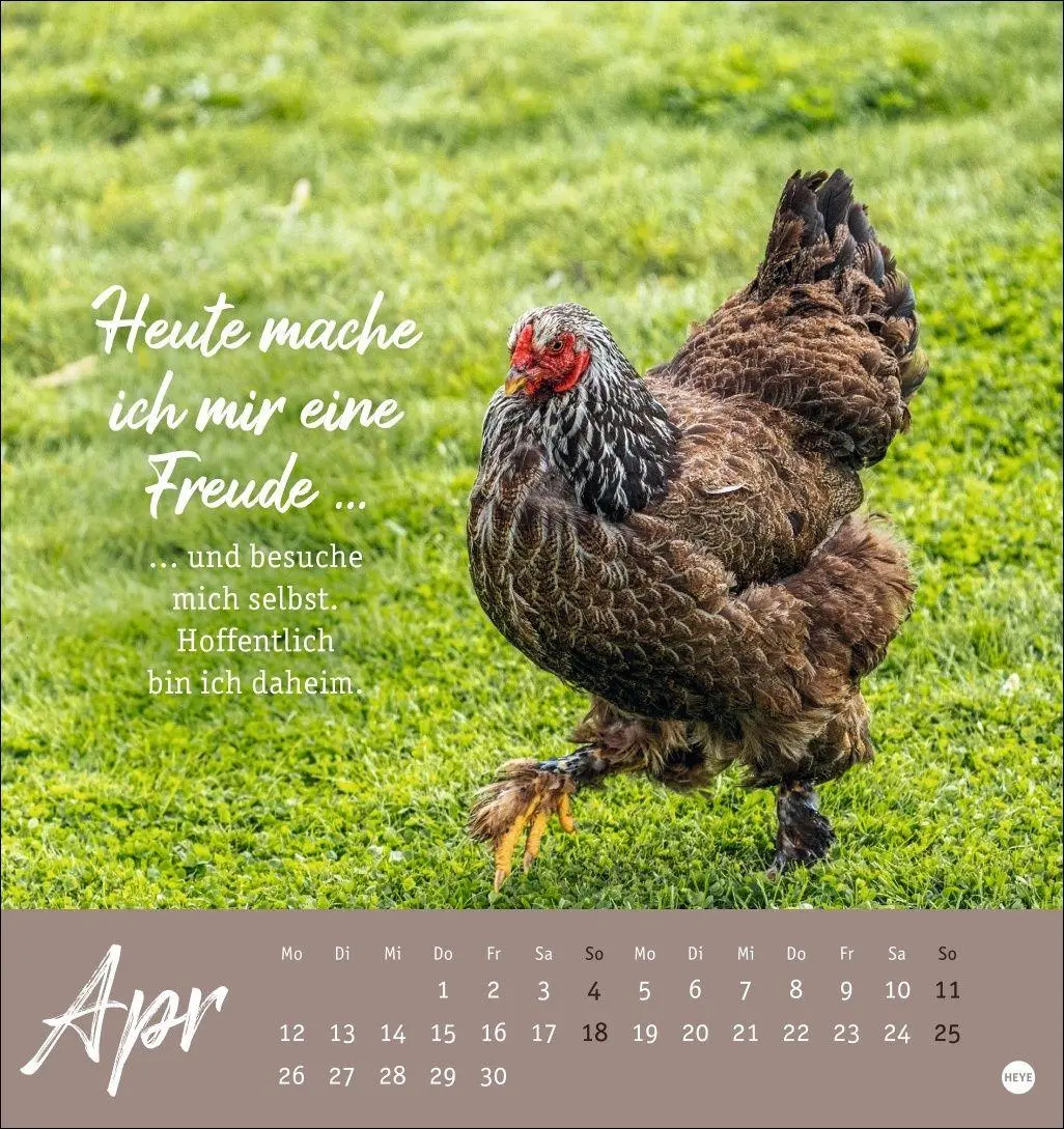 Bild: 9783756416646 | Hühner Postkartenkalender 2027 - Ach, du verrücktes Huhn! | Kalender