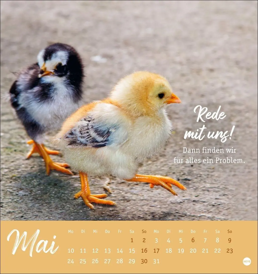 Bild: 9783756416646 | Hühner Postkartenkalender 2027 - Ach, du verrücktes Huhn! | Kalender