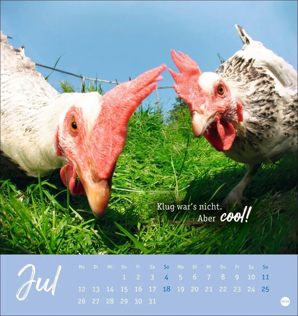 Bild: 9783756416646 | Hühner Postkartenkalender 2027 - Ach, du verrücktes Huhn! | Kalender
