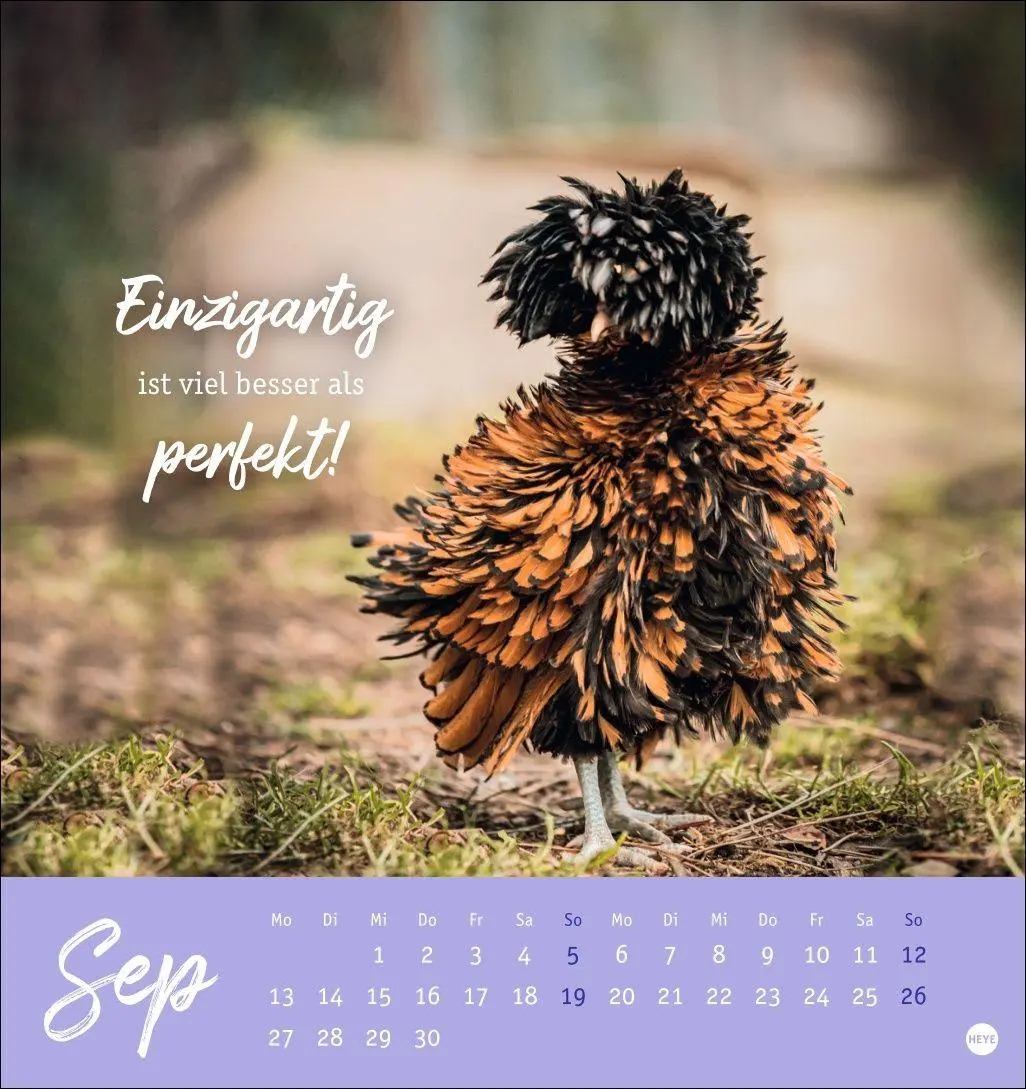 Bild: 9783756416646 | Hühner Postkartenkalender 2027 - Ach, du verrücktes Huhn! | Kalender