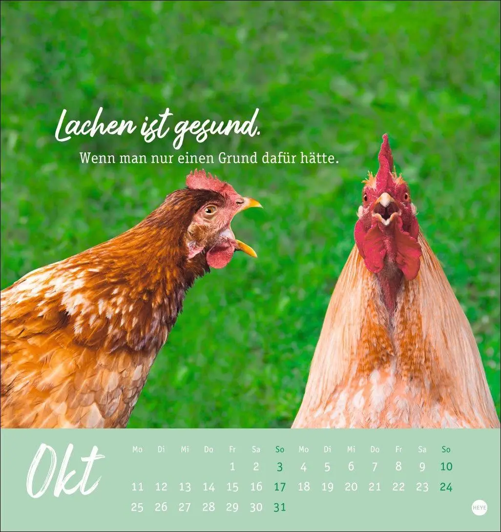Bild: 9783756416646 | Hühner Postkartenkalender 2027 - Ach, du verrücktes Huhn! | Kalender