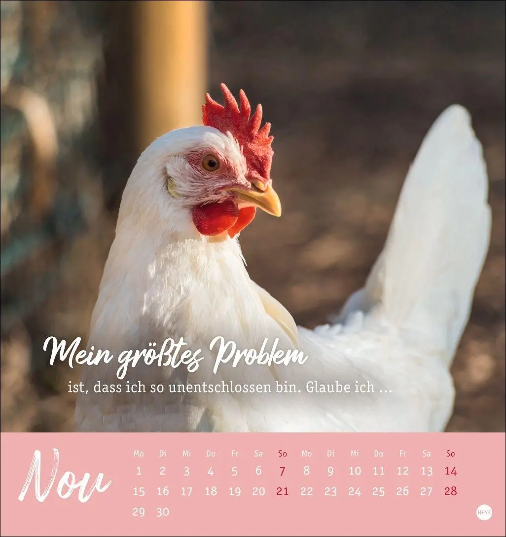 Bild: 9783756416646 | Hühner Postkartenkalender 2027 - Ach, du verrücktes Huhn! | Kalender