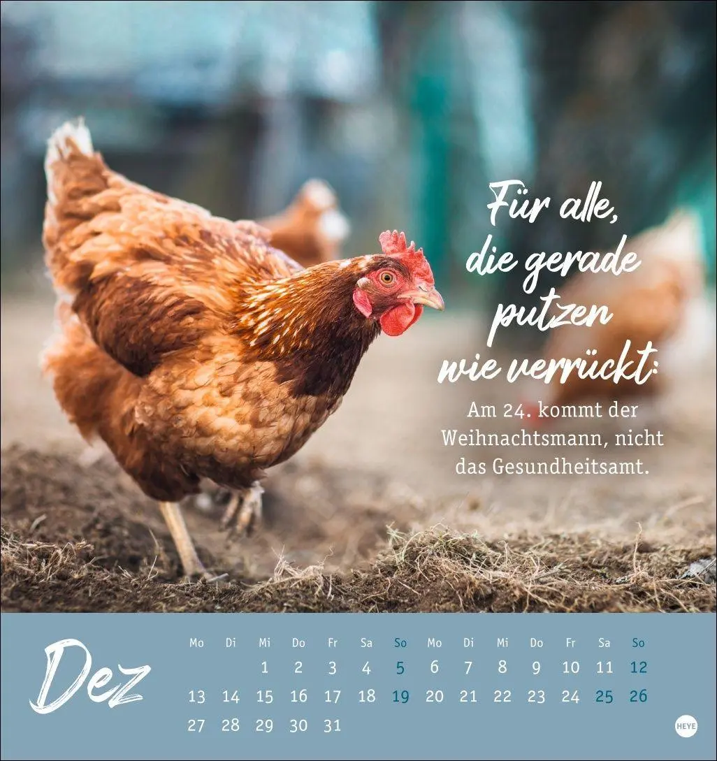 Bild: 9783756416646 | Hühner Postkartenkalender 2027 - Ach, du verrücktes Huhn! | Kalender