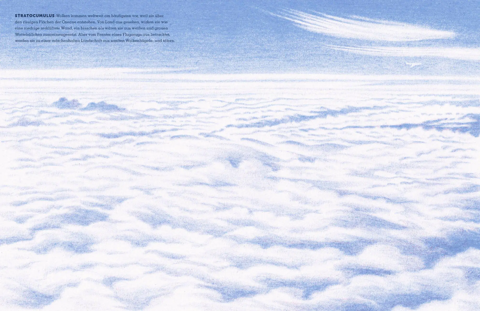 Bild: 9783791376646 | Alles über Wolken | Gavin Pretor-Pinney (u. a.) | Buch | 96 S. | 2026