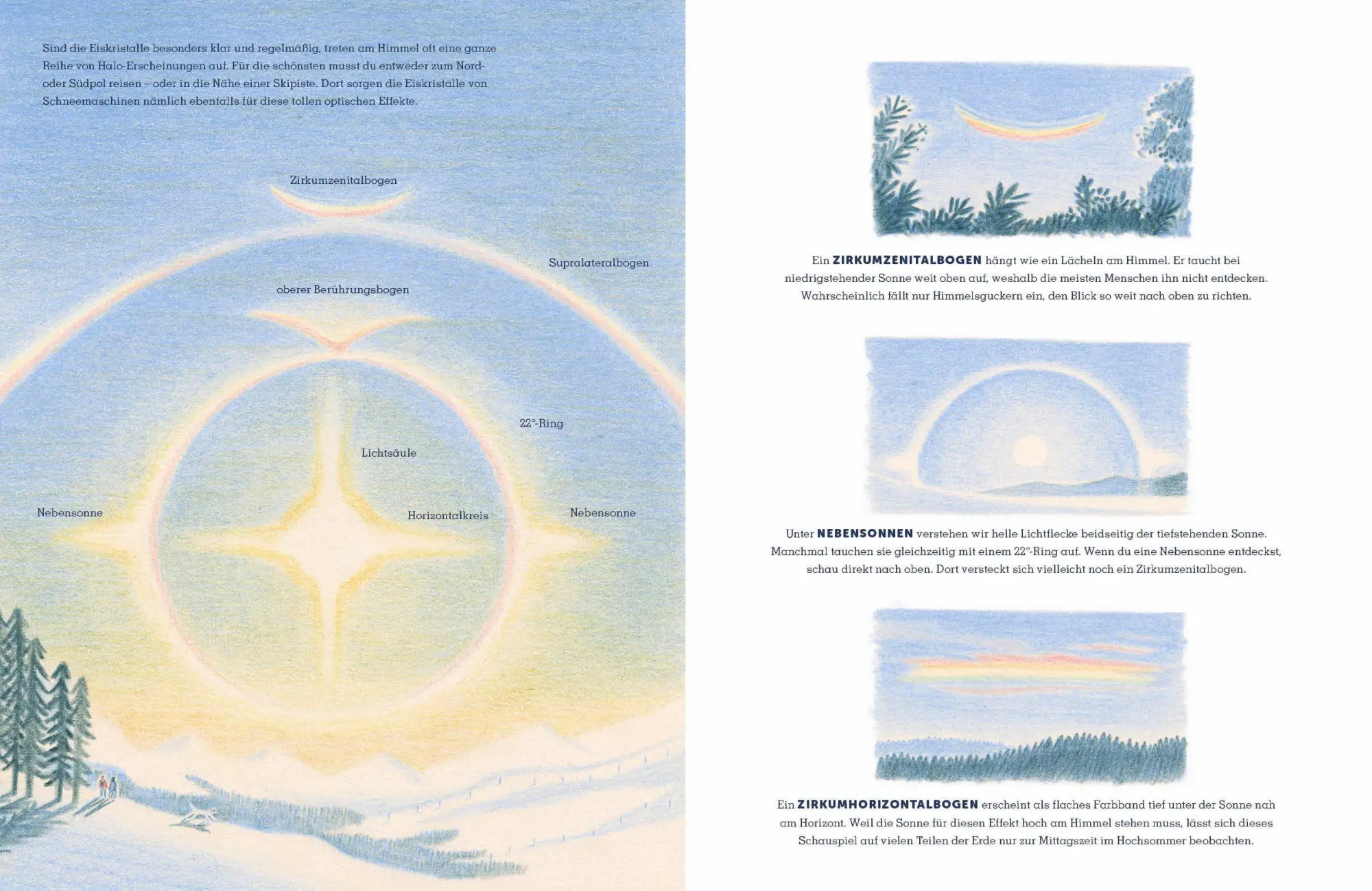 Bild: 9783791376646 | Alles über Wolken | Gavin Pretor-Pinney (u. a.) | Buch | 96 S. | 2026