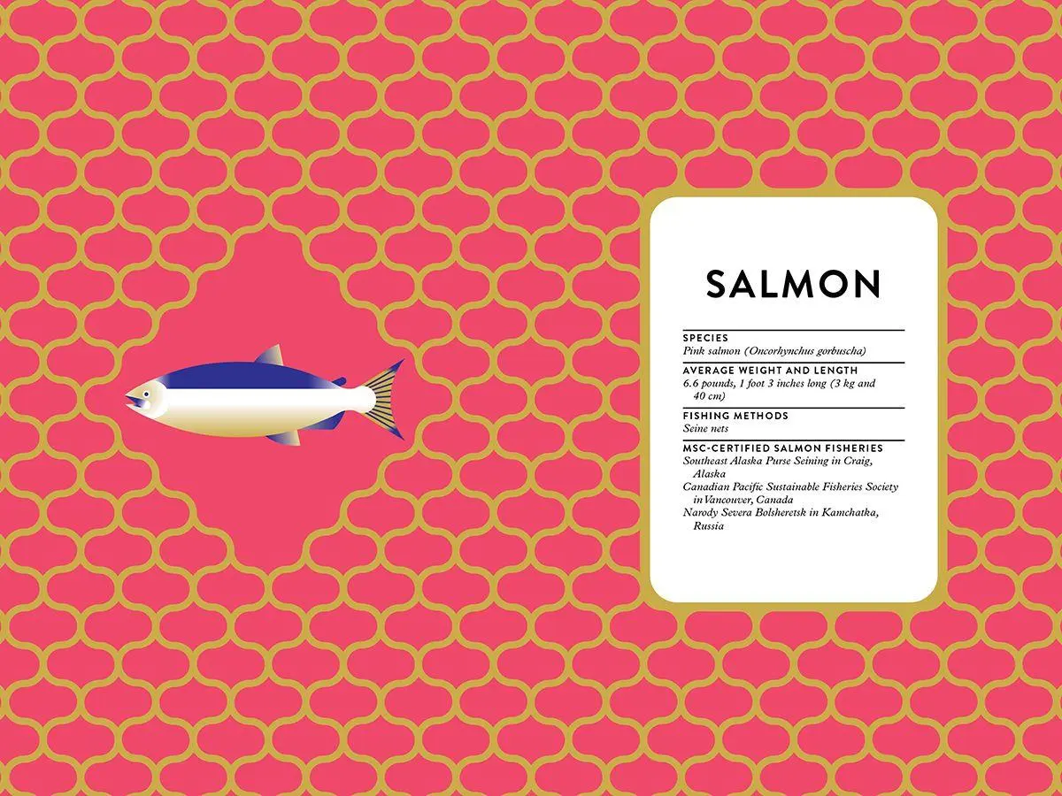 Bild: 9781615196746 | The Tinned Fish Cookbook | Bart van Olphen | Buch | Englisch | 2020
