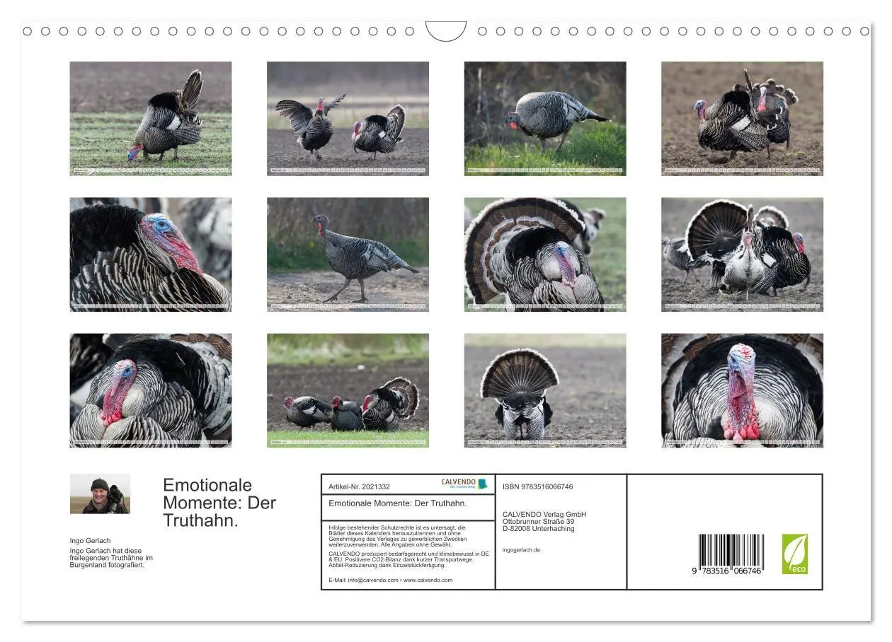 Bild: 9783516066746 | Emotionale Momente: Der Truthahn. (Wandkalender 2026 DIN A3 quer),...