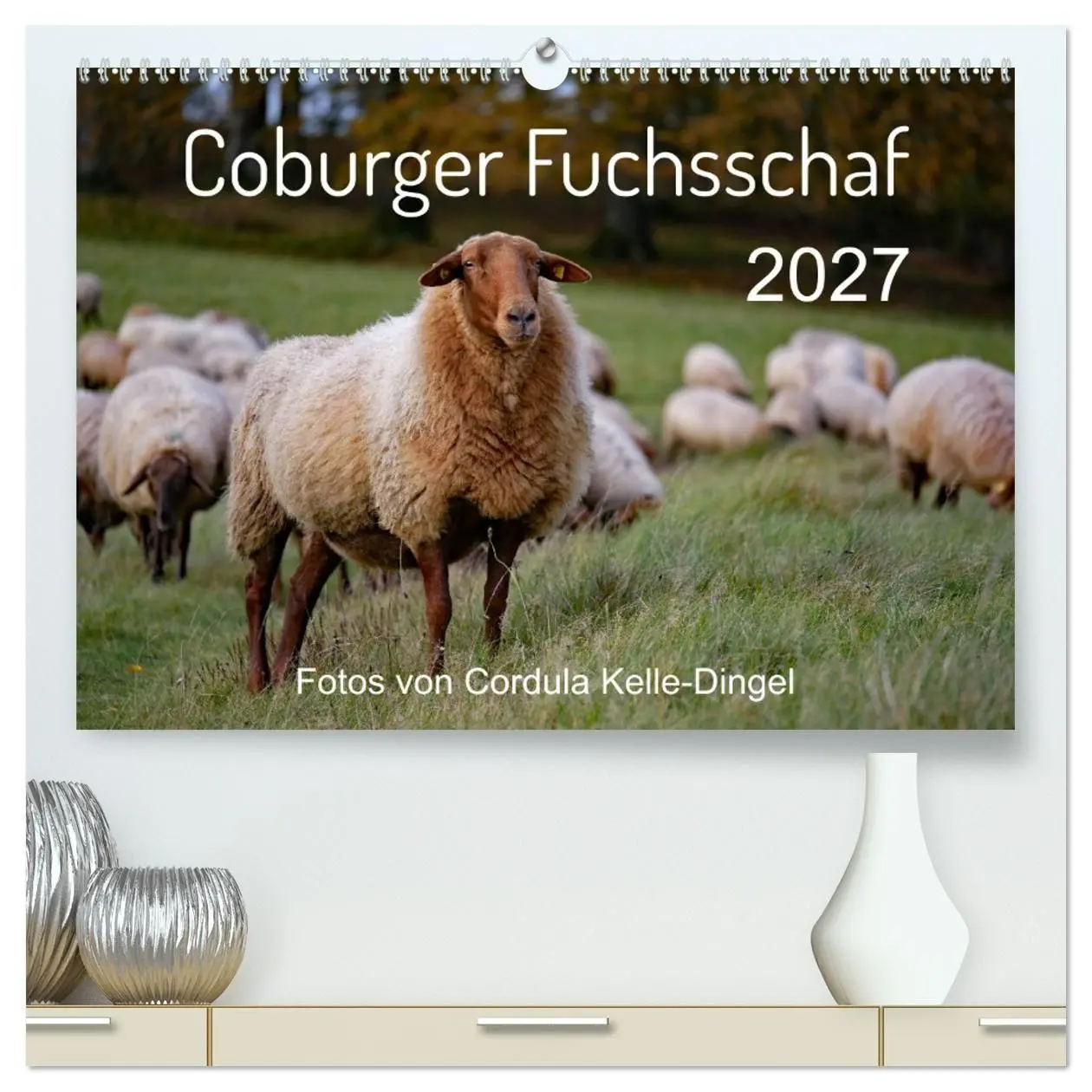 Cover: 9783569606746 | Coburger Fuchsschaf (hochwertiger Premium Wandkalender 2027 DIN A2...