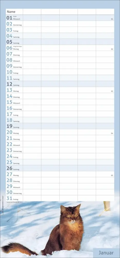 Bild: 9783756406746 | Katzen Familienplaner 2025 | Kalender | Spiralbindung | Kalender