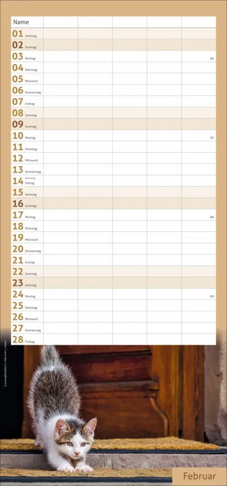 Bild: 9783756406746 | Katzen Familienplaner 2025 | Kalender | Spiralbindung | Kalender
