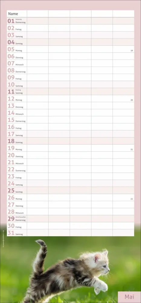 Bild: 9783756406746 | Katzen Familienplaner 2025 | Kalender | Spiralbindung | Kalender