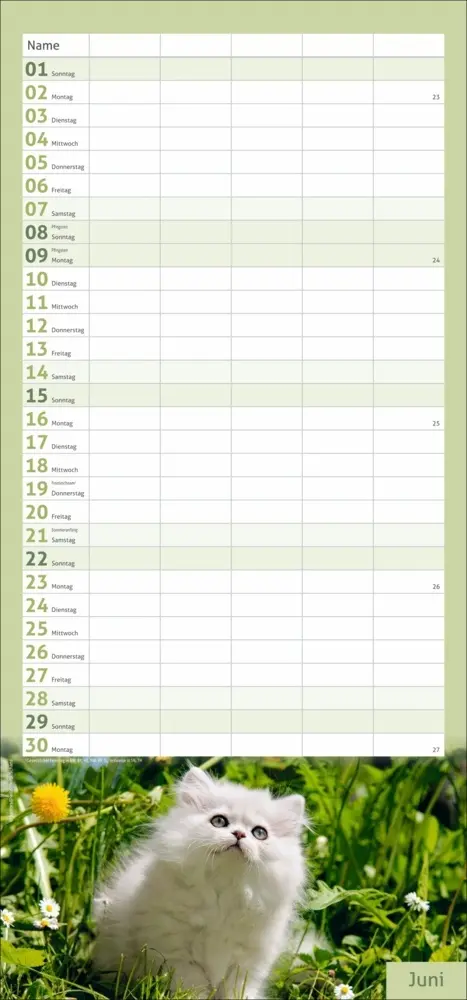 Bild: 9783756406746 | Katzen Familienplaner 2025 | Kalender | Spiralbindung | Kalender