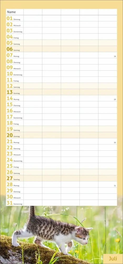 Bild: 9783756406746 | Katzen Familienplaner 2025 | Kalender | Spiralbindung | Kalender