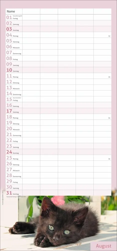 Bild: 9783756406746 | Katzen Familienplaner 2025 | Kalender | Spiralbindung | Kalender