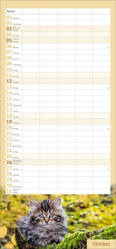 Bild: 9783756406746 | Katzen Familienplaner 2025 | Kalender | Spiralbindung | Kalender