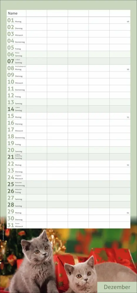 Bild: 9783756406746 | Katzen Familienplaner 2025 | Kalender | Spiralbindung | Kalender