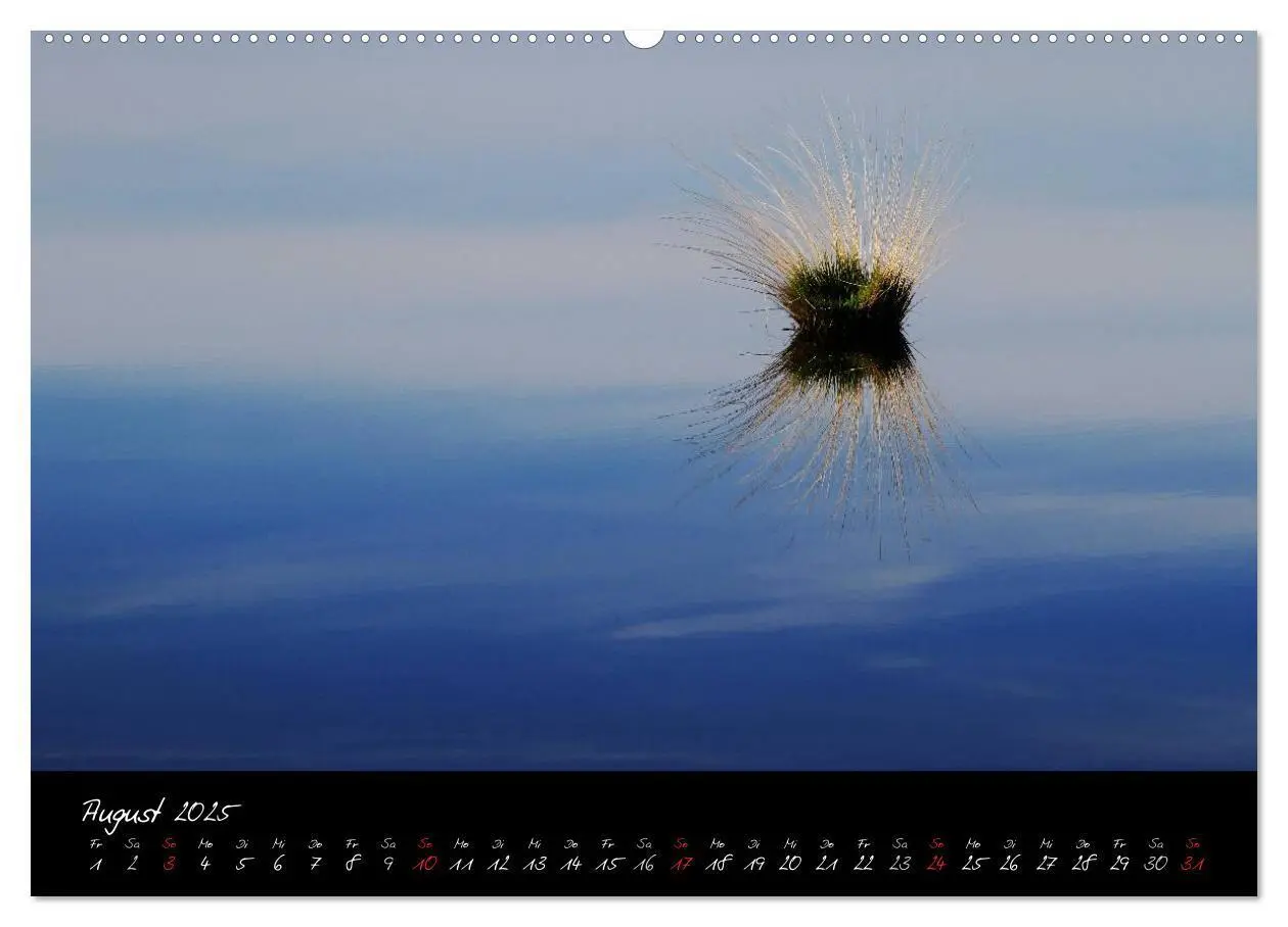 Bild: 9783435566846 | Im Goldenstedter Moor (Wandkalender 2025 DIN A2 quer), CALVENDO...