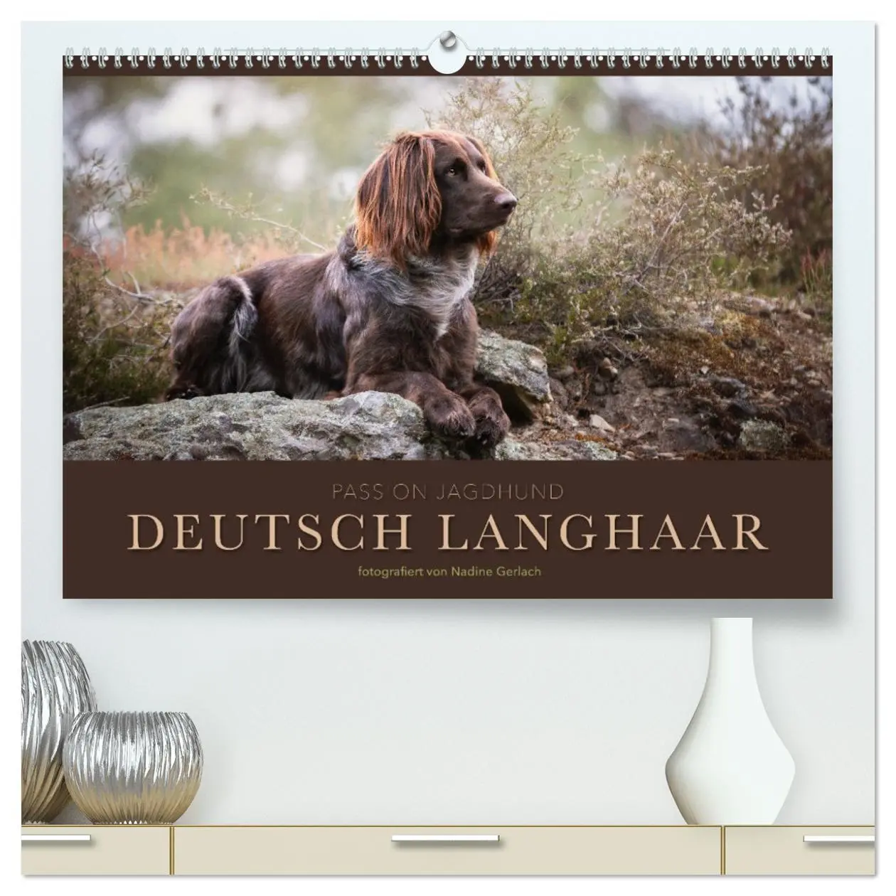 Cover: 9783457416846 | Passion Jagdhund - Deutsch Langhaar (hochwertiger Premium...