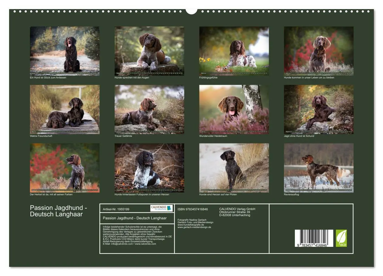 Bild: 9783457416846 | Passion Jagdhund - Deutsch Langhaar (hochwertiger Premium...