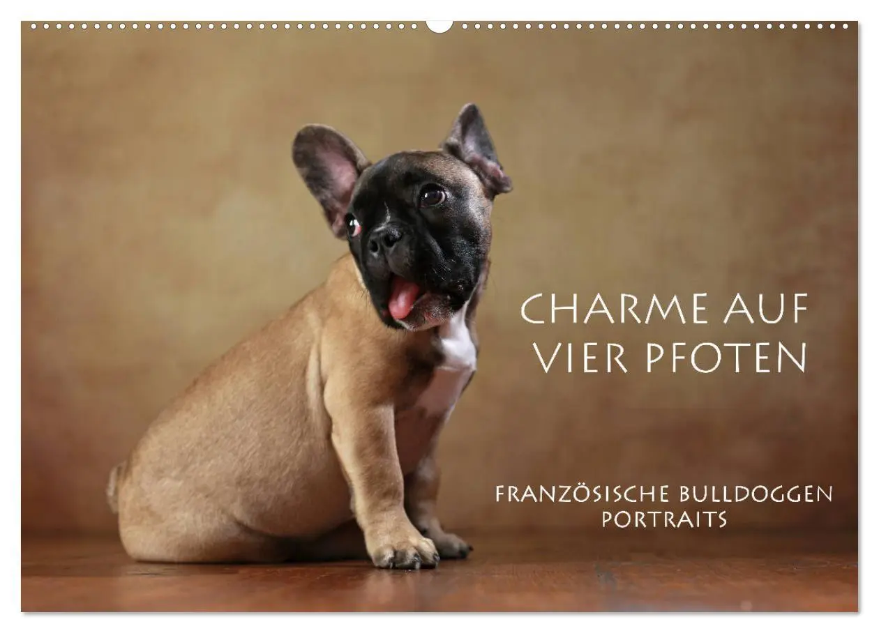 Cover: 9783457896846 | Charme auf vier Pfoten - Französische Bulldoggen Portraits...