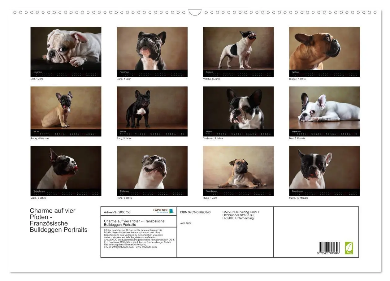 Bild: 9783457896846 | Charme auf vier Pfoten - Französische Bulldoggen Portraits...